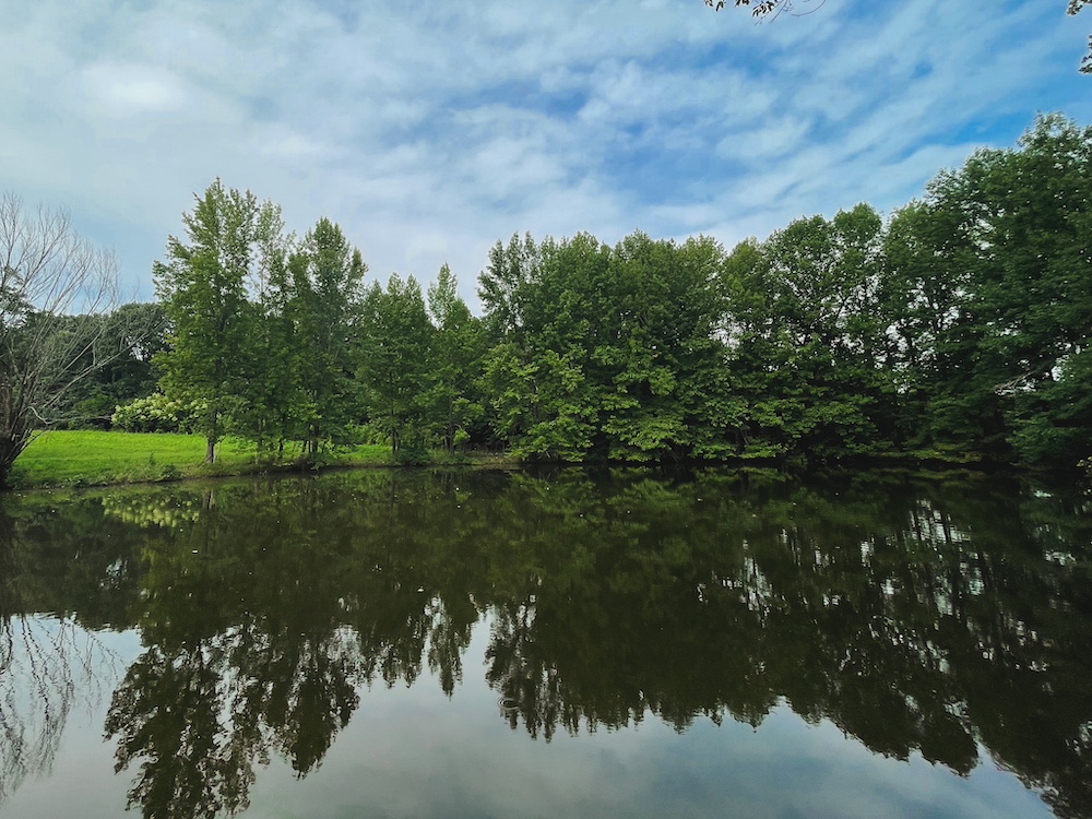 Farmhouse Pond